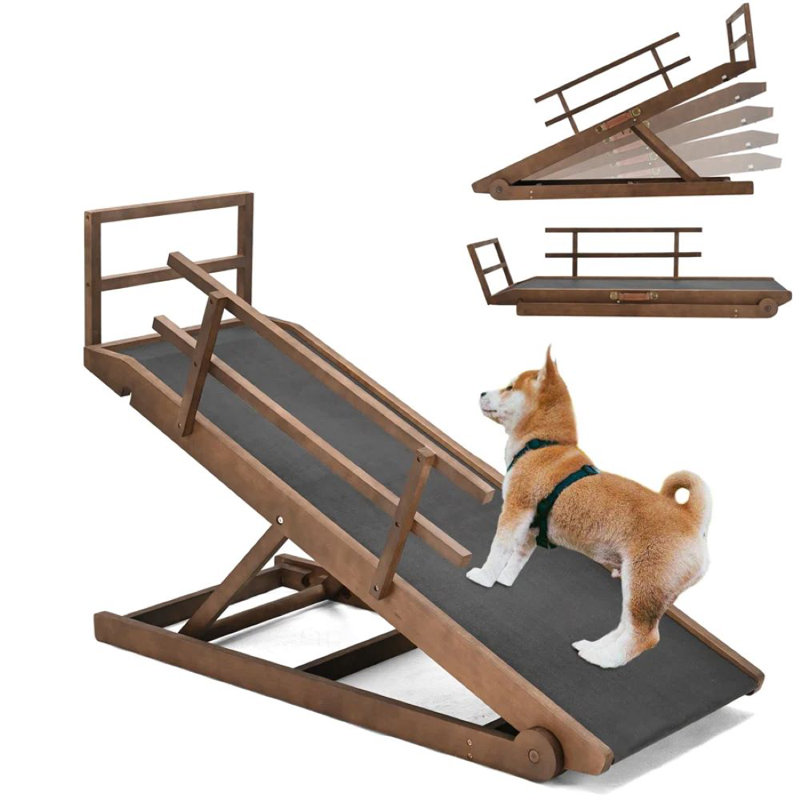 Paw ramp reviews best sale